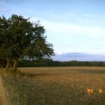 mueden_31